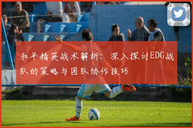 和平精英战术解析：深入探讨EDG战队的策略与团队协作技巧