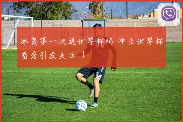 冰岛第一次进世界杯吗 冲击世界杯首秀引发关注_1
